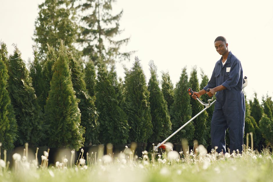 Professional landscaper working on a residential garden