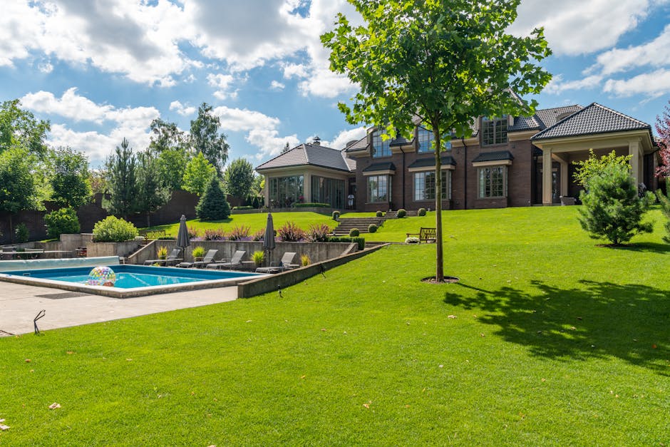Perfectly manicured green lawn with professional landscaping